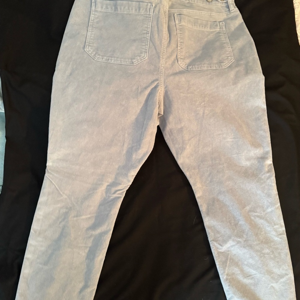 American Eagle Outfitters Light Blue Corduroy Pants